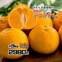 デコみかん 訳あり 不知火 しらぬい キズ多め デコポン 約9-10kg 不揃い混合 送料無料