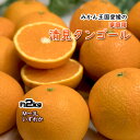 清見タンゴール 清見 清見オレンジ 清見みかん みかん 約2kg 家庭用 愛媛県産 送料無料(4)