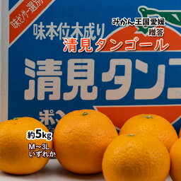 清見オレンジ 清見タンゴール 贈答 清見 清見みかん みかん 贈り物 約5kg 送料無料