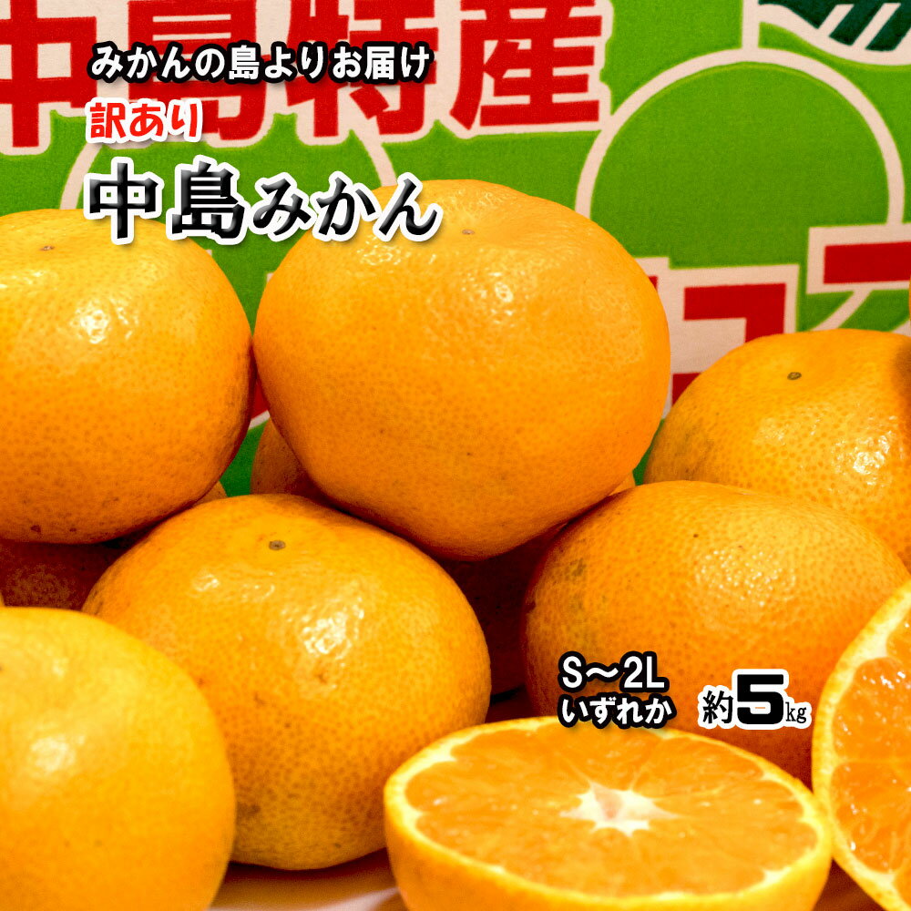 みかん 箱買い 中島みかん 訳あり 中島 訳ありみかん 愛媛みかん 送...(4)
