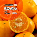 ぽんかん 箱買い ポンカン ご家庭用 愛媛県産 高糖度 極甘 S〜2L 約2kg 送料無料