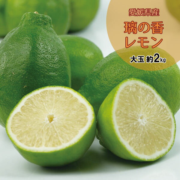 璃の香レモン 家庭用 レモン 愛媛県産 檸檬 大玉 約 2kgのサムネイル