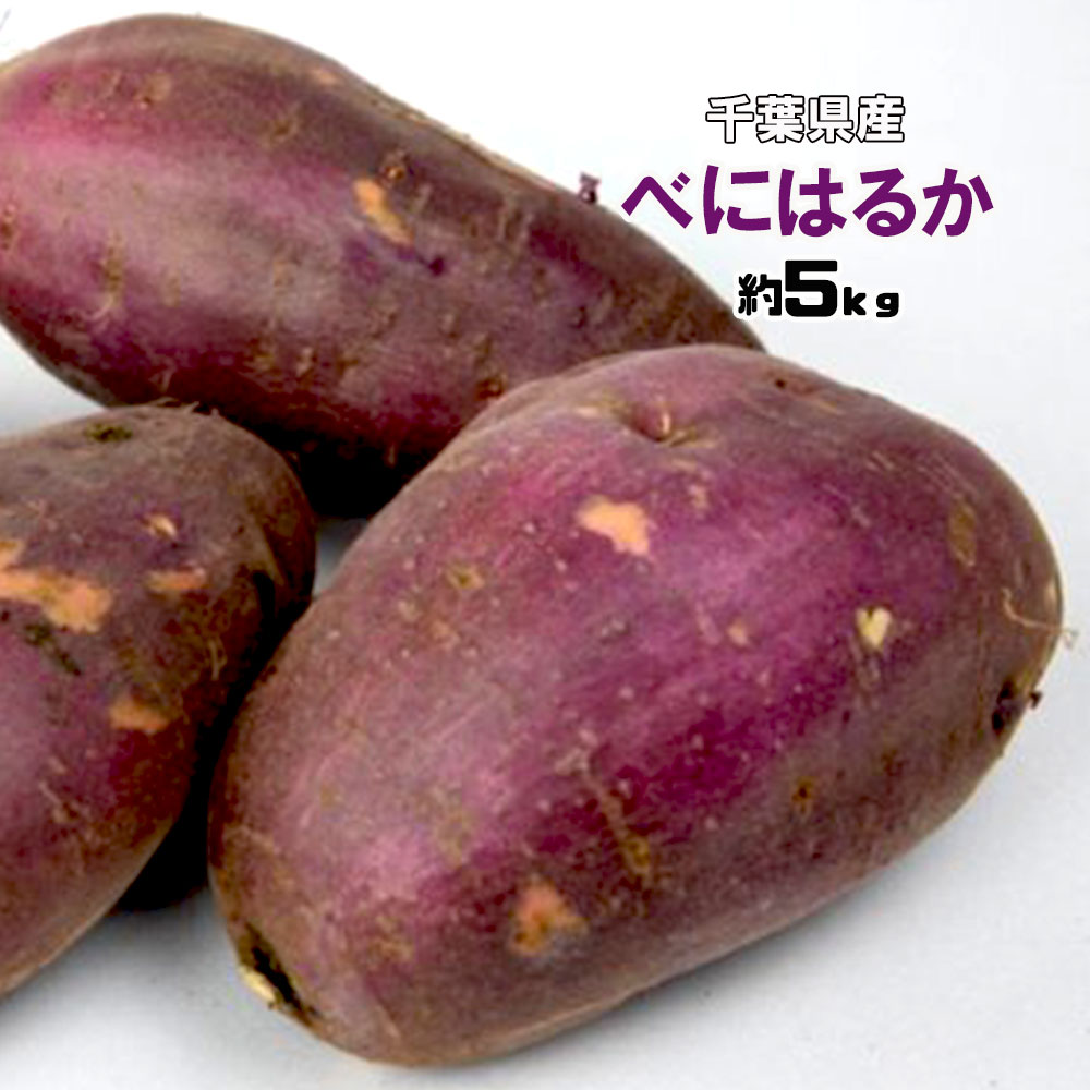 さつまいも高級|美味しい人気品種!糖度の高いサツマイモの通販 ...