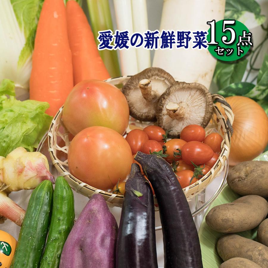 野菜セット ベジタブル お楽しみ 野菜 お試し版 15品 送料無料 みかん横丁 契約農家の美味しい野菜 減農薬 新鮮 旬ベジセット