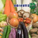 野菜セット ベジタブル お楽しみ 野菜 お試し版 15品 送料無料 みかん横丁 契約農家の美味しい野菜 減農薬 新鮮 旬ベジセット