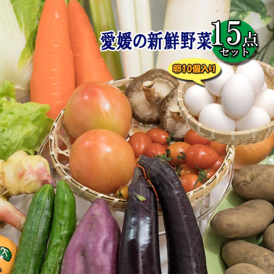 野菜詰め合わせ ベジタブル お楽しみ 野菜 お試し版 15品 卵入り 送料無料 契約農家の 美味しい野菜 減農薬 新鮮 旬ベジセット