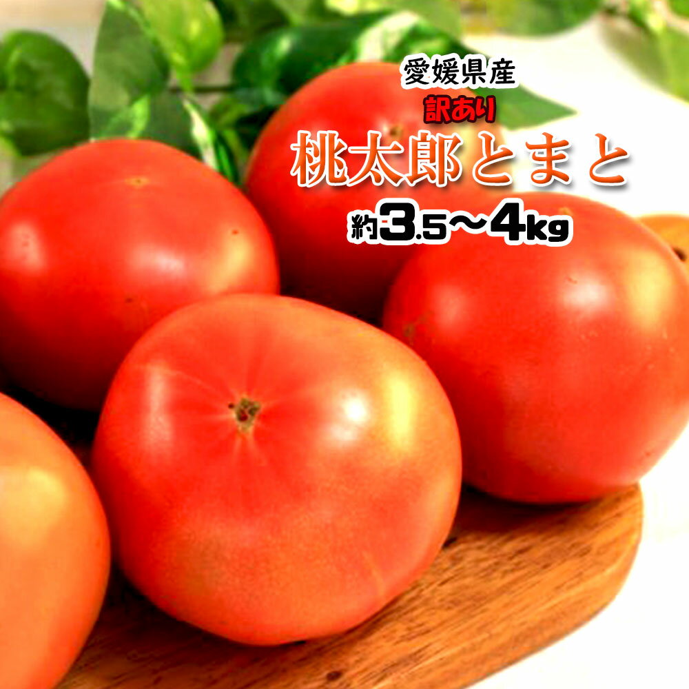 楽天市場】5-(総重量(野菜)4.0 ~ 4.9kg)(トマト|野菜 楽天市場】5-(総重量(野菜)4.0 ~ 4.9kg)(トマト|野菜