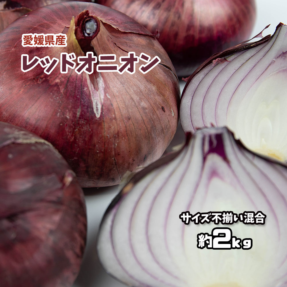 レッドオニオン 赤玉ねぎ たまねぎ タマネギ 玉葱 玉ねぎ 約2kg 愛媛県産 送料無料