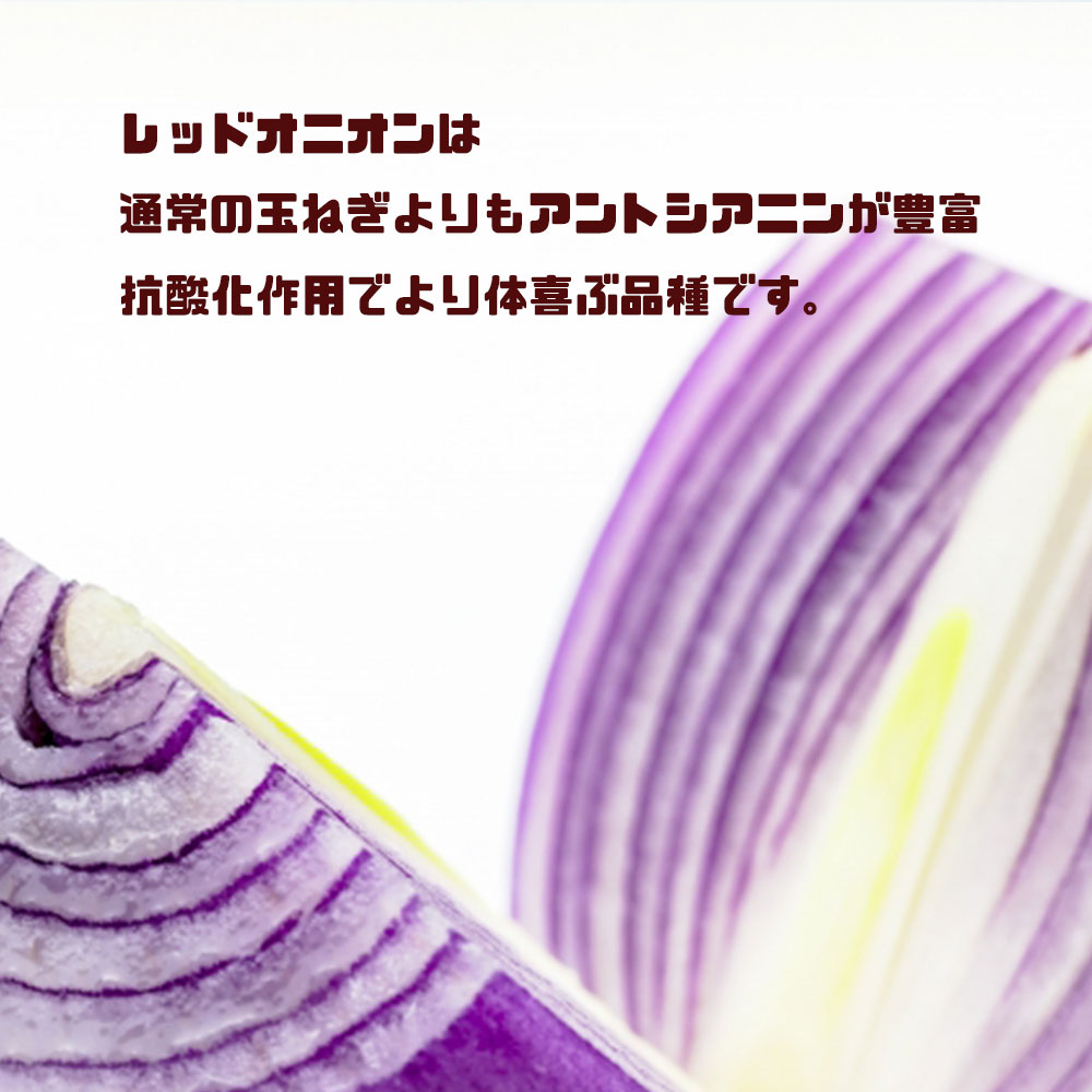レッドオニオン 赤玉ねぎ たまねぎ タマネギ 玉葱 玉ねぎ 約5kg 愛媛県産 送料無料