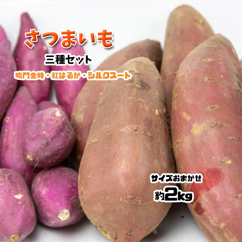 さつまいも 食べ比べ 3種セット 鳴門金時 シルクスイート 紅はるか 約2kg お試し 送料無料