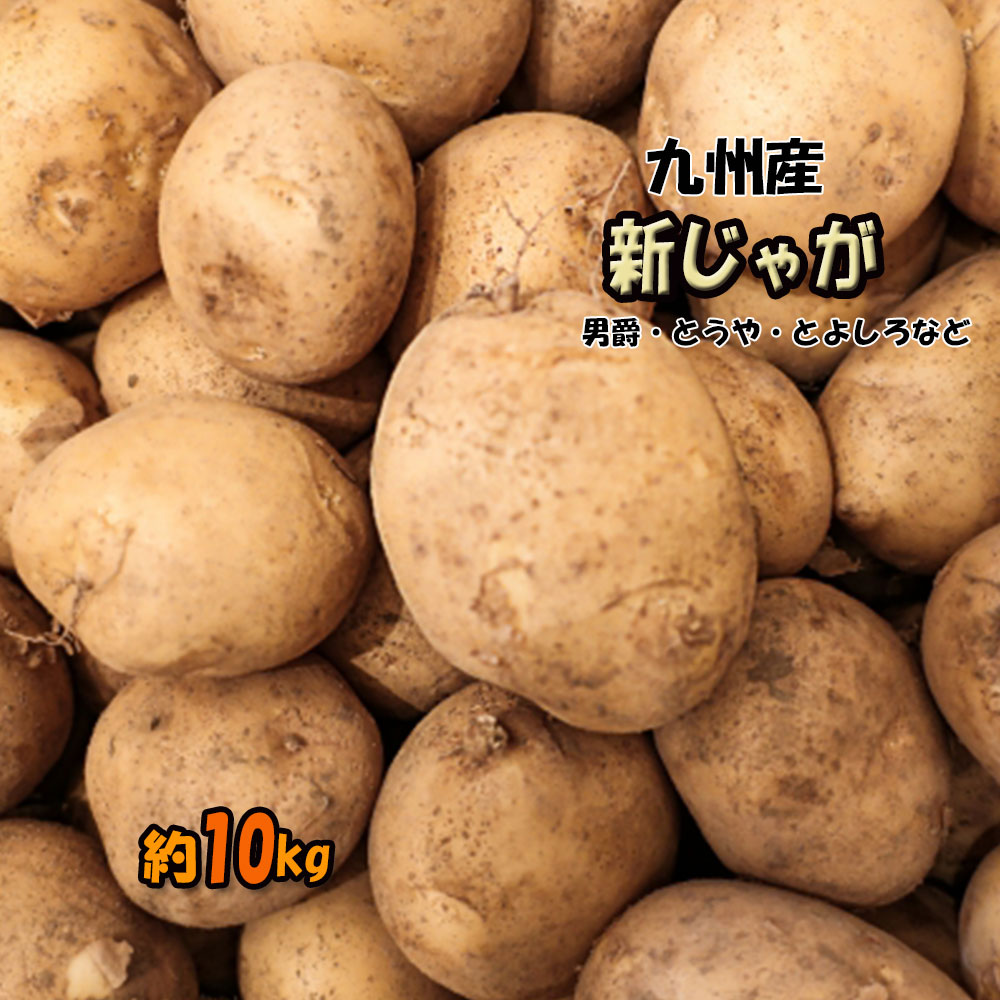 新じゃが じゃがいも 長崎県 鹿児島県 芋 いも 約10kg 送料無料 M-2L 男爵 とうや とよしろ他のサムネイル