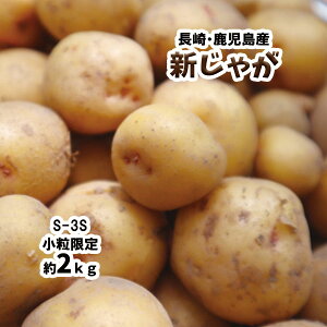 新じゃが じゃがいも 長崎県 鹿児島県 芋 いも 約2kg 送料無料 S-3S 小粒 男爵 とうや とよしろ他
