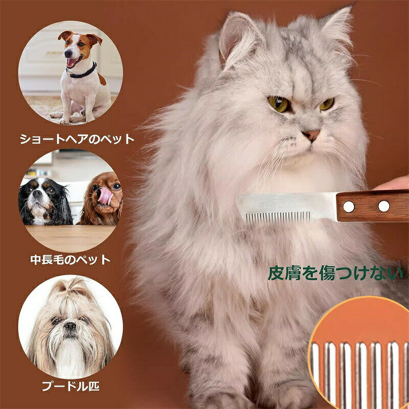 �ȥ�ޡ� �� ǭ �Ӽ��֥饷 ���å��ȥ�ߥ󥰥����� �Ӷ̥ȥ�ޡ� ���롼�ߥ� �ڥåȥ֥饷 Ĺ�� û�� �Ӷ̥ȥ�ޡ��ʱ����ѡ�