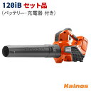 【バッテリープラス1キャンペーン】 ハスクバーナ(Husqvarna) 36V バッテリーハンディブロワ セット品(充電器QC250 + バッテリーBLi20 付き) 【120iB SET】 (バッテリー ブロワー ブロア コードレス 充電式 園芸 ガーデニング 作業 造園 屋内 屋外 清掃 枯れ葉 落ち葉)