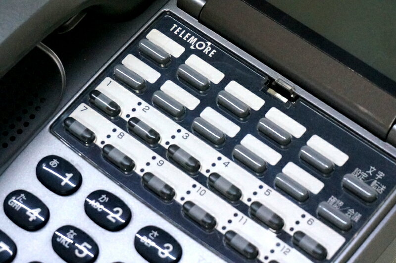 ����šۡڼ�̾�������ѡ۴���̿��� IWATSU TELEMORE/�ƥ�⥢ 12�ܥ���ɸ�����õ� �� �ӥ��ͥ��ۥ�12�ܥ���ɸ�ॿ���פ����õ� WX-12KTX(G)