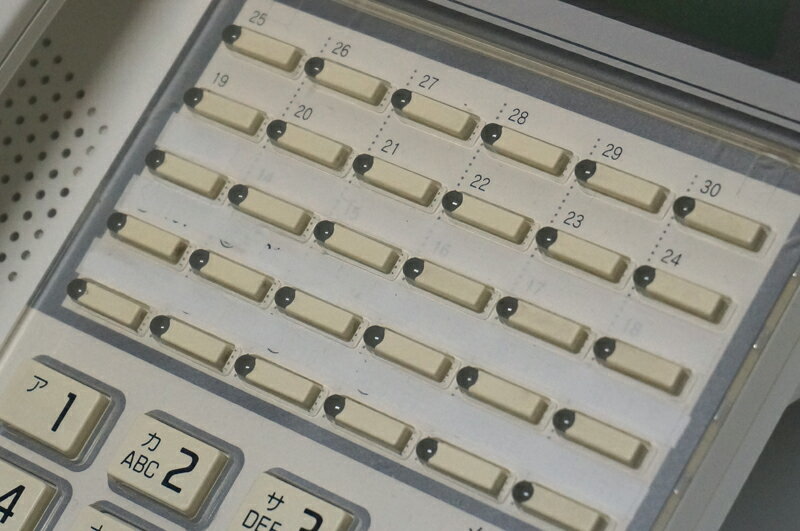 ����š�SAXA(������) AGREA(HM700LT) 30�ܥ���ɸ�����õ� �� �ӥ��ͥ��ۥ� �ڼ�̾������ͭ��� HM700LT���ѡ�LD920(W)