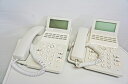 【中古】【黄ばみ有・動作確認済・クリーニング済】お得な2台セット品 NTT製 αN1用 A1-(18)STEL-(2)(W) 18ボタン標準電話機 白 A1-1...