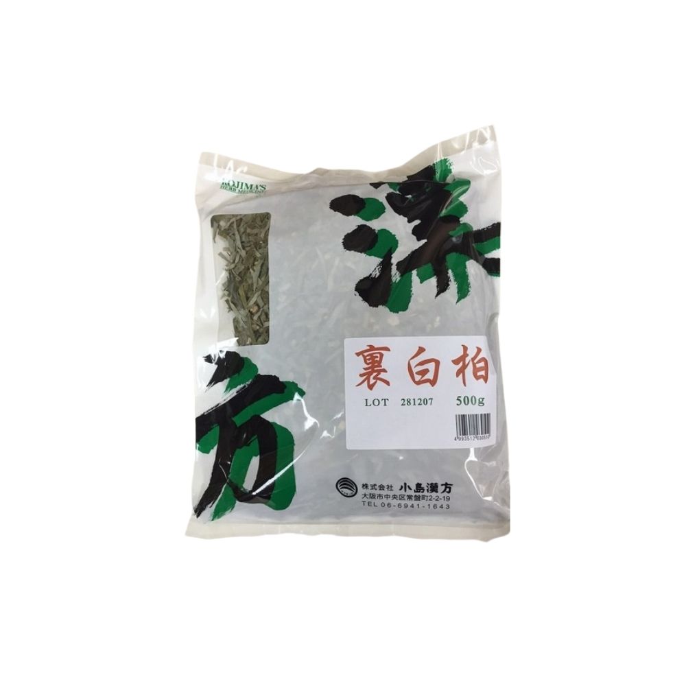 小島漢方 裏白樫 ウラジロガシ 刻 500g