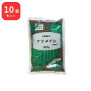 【第3類医薬品】 【10個セット】 小島漢方 決明子 ケツメイシ 生 500g