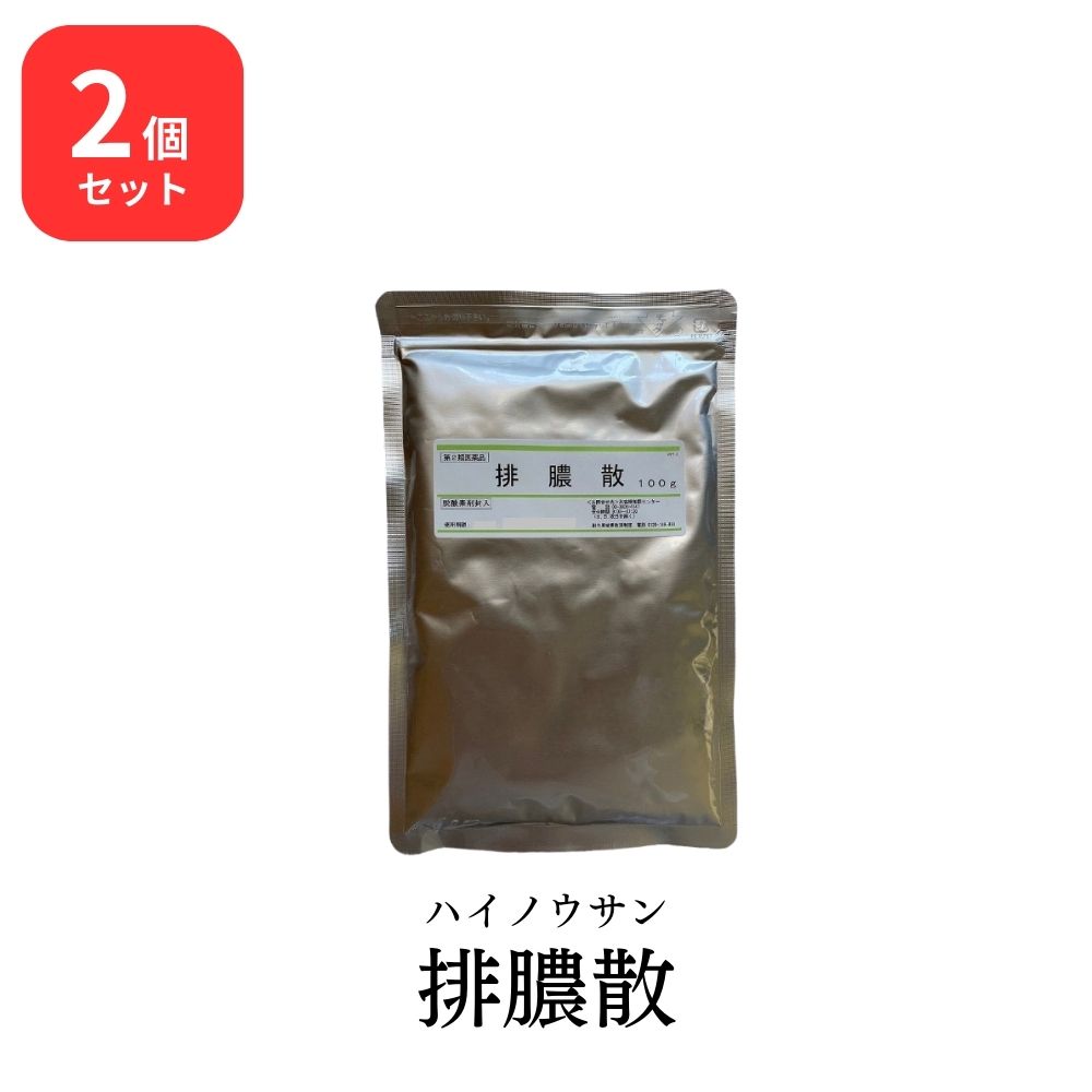 【第2類医薬品】 【2個セット】 ウチダ和漢薬 排膿散 ハイノウサン 100g