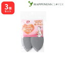 【3個セット】 ピースエイト 温パッド バスト用 2枚入