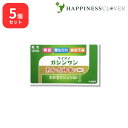 【5個セット】 【第2類医薬品】 恵命我神散s 細粒 3g 120包 恵命堂 ケイメイガシンサン 胃腸薬 食欲不振 胃部 腹部膨満感 消化不良 胃弱 食べ過ぎ ...