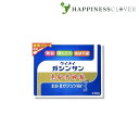 【第2類医薬品】 恵命我神散 400g 100g 4袋 徳用 パウチ袋 恵命堂 ケイメイガシンサン 胃腸薬 食欲不振 胃部 腹部膨満感 消化不良 胃弱 食べ過ぎ 飲み過ぎ 胸やけ 胃もたれ 胸つかえ はきけ