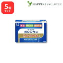【5個セット】 【第2類医薬品】 恵命我神散S 散剤タイプ 3g 120包 恵命堂 ケイメイガシンサン 胃腸薬 食欲不振 胃部 腹部膨満感 消化不良 胃弱 食べ...