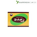 【第2類医薬品】ヨウカチン 40包 100g 渡部晴光堂 高血圧に伴う目まい のぼせ 肩こり 頭重 便秘を改善