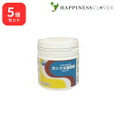 【5個セット】【第2類医薬品】カンフル筋骨剤 カンフルキンコツザイ 90g 渡部晴光堂 リウマチス 関節炎 神経痛 筋炎 打撲 捻挫 乳凝肋骨痛 乳ばれ 骨痛 歯痛 肺炎肋膜の湿布薬に有効