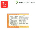 【2個セット】【第2類医薬品】ホノミ漢方 五積腰痛散 ゴシャクヨウツウサン 60包 剤盛堂薬品 急性 慢性胃腸カタル 胃腸炎 腰痛 白帯下 おりもの 月経痛 神経痛 リウマチ 脚気 打撲 冷え症