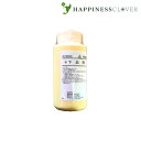 【第2類医薬品】ホノミ漢方 強下血散 キョウゲケツサン 500g 剤盛堂薬品 痔出血
