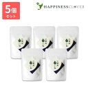 【5個セット】萬寿の塩100g 袋入り 熱帯資源植物研究所
