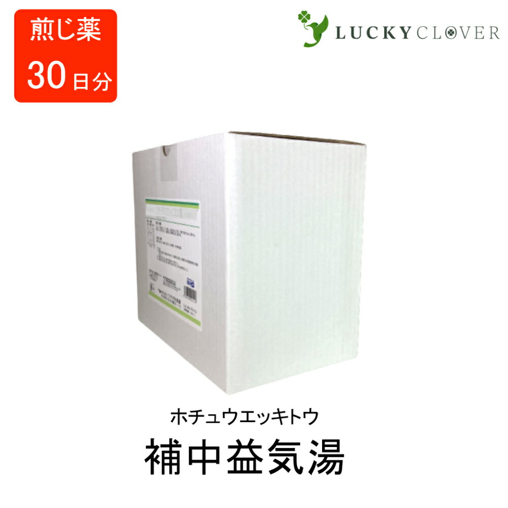 【第2類医薬品】 補中益気湯 ホチュウエッキトウ 煎じ薬 30日分 ウチダ和漢薬 虚弱体質改善 病後の体力増強 夏やせ 虚弱者の感冒
