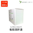 【第2類医薬品】竜胆瀉肝湯エキス散 (分包) リュウタンシャカントウ 300包 ウチダ和漢薬 排尿痛 残尿感