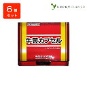 【6個セット】【第3類医薬品】牛黄カプセル（ゴオウカプセル） 100mg × 2カプセル × 6個 ウチダ和漢薬