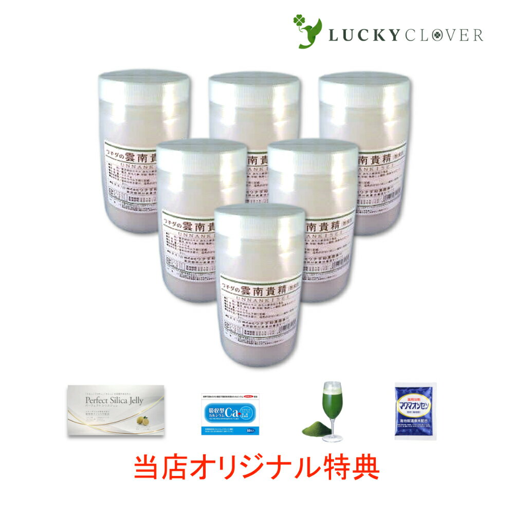 【選べるおまけ付き】【6個セット】雲南貴精 粉末 300g うんなんきせい ウチダ和漢薬 1