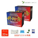 【選べるおまけ付き】【2個セット】【第2類医薬品】丹心方 タンシンホウ 第2類医薬品 ウチダ和漢薬