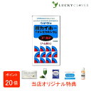 【選べるおまけ付き】ウチダの新カイホー イオン化カルシウムゴールド 1500粒 ウチダ和漢薬 ヘム鉄入 カルシウム