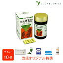 【選べるおまけ付き】ウチダの雲南片玉金 120g うんなんへんぎょくきん ウチダ和漢薬