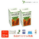 【選べるおまけ付き】【2個セット】ウチダの雲南片玉金 120g×2箱 うんなんへんぎょくきん ウチダ和漢薬