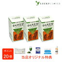 【選べるおまけ付き】【3個セット】ウチダの雲南片玉金 120g×3箱 うんなんへんぎょくきん ウチダ和漢薬 正規取扱店 【商品説明】中国産の田七人参(デンシチニンジン)と鬱金(ウコン)を原料とした健康補助食品です。◎ 田七人参は昔から中国で最も珍重されてきた植物で「金不換」の別名を有する程貴重な物です。◎ 鬱金は熱帯アジア原産の植物でクルクミンを初め多くの成分を有しています。◎ 「ウチダの雲南片玉金」はこの両方をバランスよく混和させることにより、より多くの皆様の健康維持に役立つものとして開発、製品化されたものです。【田七人参（デンシチニンジン）】◎ 朝鮮人参と同じウコギ科の植物の根です。◎ 中国雲南省の肥沃な大地で収穫されます。◎ 根が育つのに3年から7年もかかると言う事から三七人参（サンシチニンジン）とも呼ばれます。◎ 根はゴツゴツとしており、朝鮮人参とは明らかな違いがありますが、成分は同じサポニン配糖体であるジンセノサイドRb群、Rg群が含まれています。【鬱金（ウコン）】◎ ショウガ科の多年草の根で、原産地は熱帯アジアです。◎ 中国では地方によって玉金（ギョクキン）とも呼ばれています。◎ 日本につたえられたのは室町時代以前といわれ、江戸時代は主として薬草や染料として利用されていました。◎ 琉球王朝では専売制が敷かれる程高い評価を受けていました。◎ 鬱金には黄色の色素成分であるクルクミン、精油成分であるターメロンやシネオールなど多くの成分が含まれています。【お召し上がり方】1日15粒から18粒を目安に水又はお湯といっしょにお召し上がりください。【このような人にお勧めします】◎ 日頃からお酒、タバコをよく飲む方で、食生活の不規則な方。◎ 栄養のバランスが気になる方で、体力に自信のない方。◎ いつも健康を維持したい方。【栄養成分表示 (15粒当り)】エネルギー　16.40kcalたんぱく質　0.204g脂質　0.126g炭水化物　3.611gナトリウム　0.848mg鉄　1.040mg 2