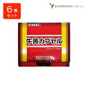 【6個セット】【第3類医薬品】牛黄カプセル(ゴオウカプセル) 100mg × 2カプセル × 6個 ウチダ和漢薬