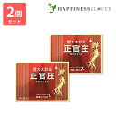 【2個セット】正官庄 レギュラー 30ml × 10本 大木製薬