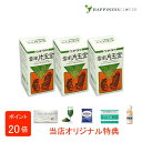【選べるおまけ付き】【3個セット】ウチダの雲南片玉金 120g×3箱 うんなんへんぎょくきん ウチダ和漢薬