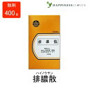 【第2類医薬品】排膿散 はいのうさん 散剤 400g 杉原達二商店 化膿性皮膚疾患の軽いもの