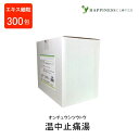 【第2類医薬品】温中止痛湯 エキス細粒 (分包) オンチュウシツウトウ 300包 ウチダ和漢薬 安中散 あんちゅうさん 神経性胃炎 慢性胃炎