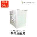 【第2類医薬品】 荊芥連翹湯 ケイガイレンギョウトウ 煎じ薬 30日分 ウチダ和漢薬 青年期腺病 体質改善 急性慢性中耳炎 肥厚性鼻炎 扁桃腺炎