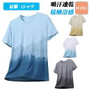【期間限定・300円OFFクーポン】夏服 メンズ tシャツ 半袖 大きいサイズ 吸汗速乾 接触冷感 ドライtシャツ ゆったり 通気メッシュ トレーニングウェア ...