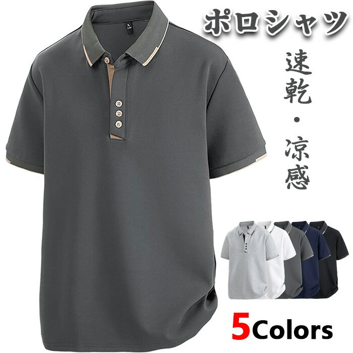 ݥ  Ⱦµ ե ӥͥ 奢  ® ڴ ץ 奢  ե ۴® 礭 ɽ ...